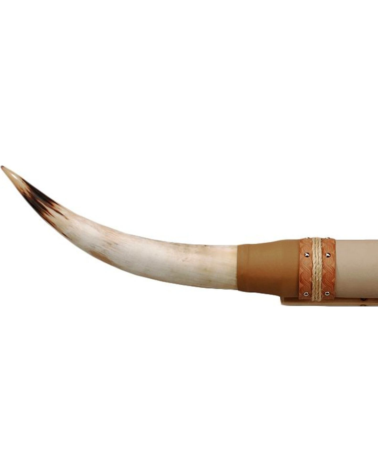 Image #2 - Authentic Large Steer Horns, Tan, hi-res