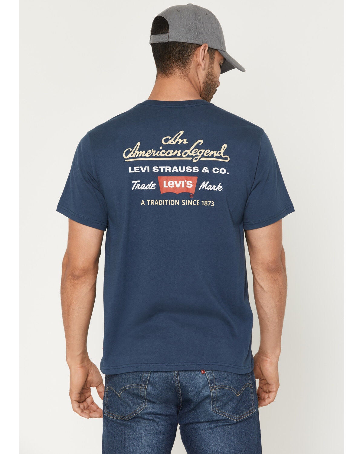 Levi's Men's Indie Prep Script Logo Short Sleeve Graphic T-Shirt, Blue, hi-res