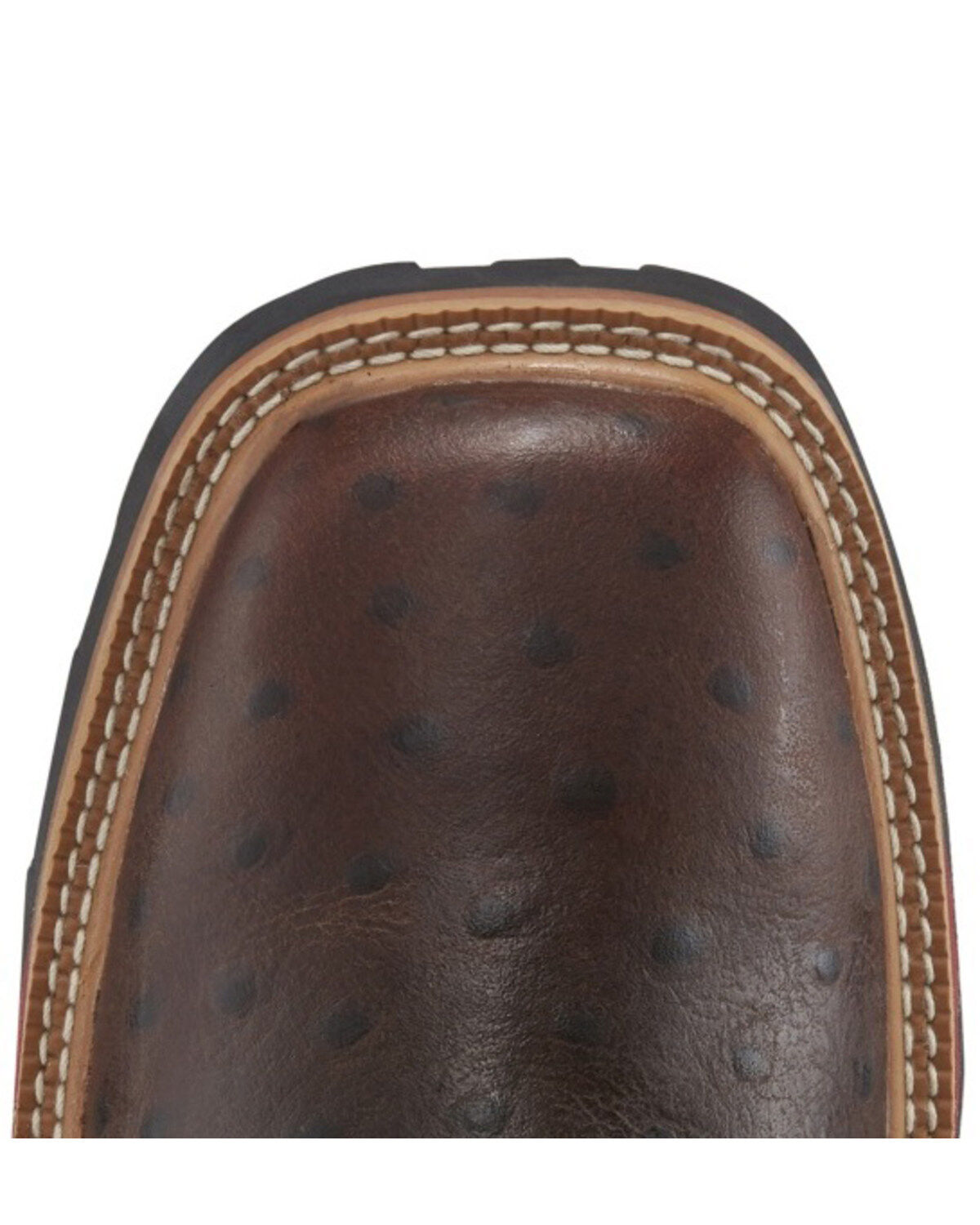 justin derrickman ostrich