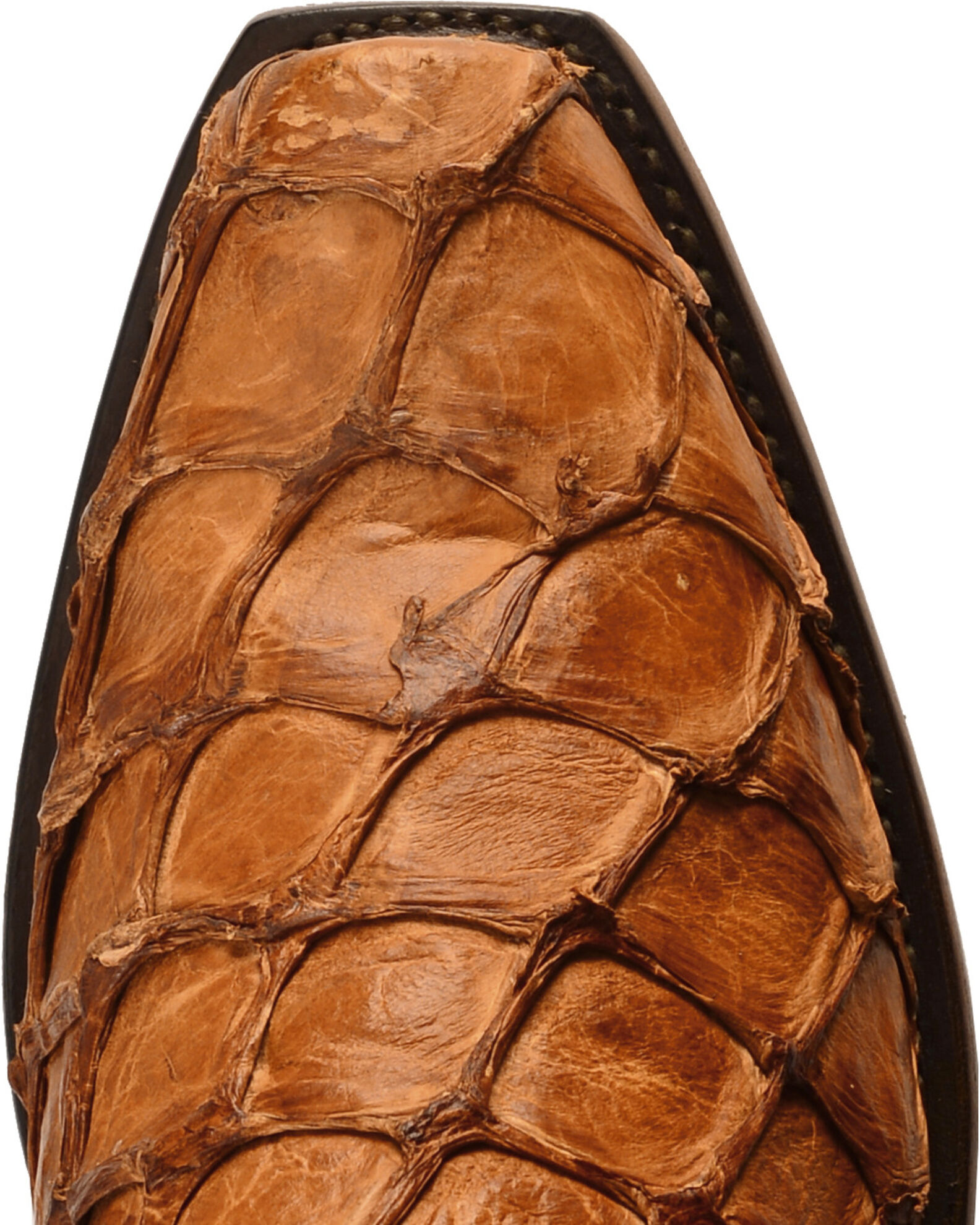 Lucchese pirarucu online