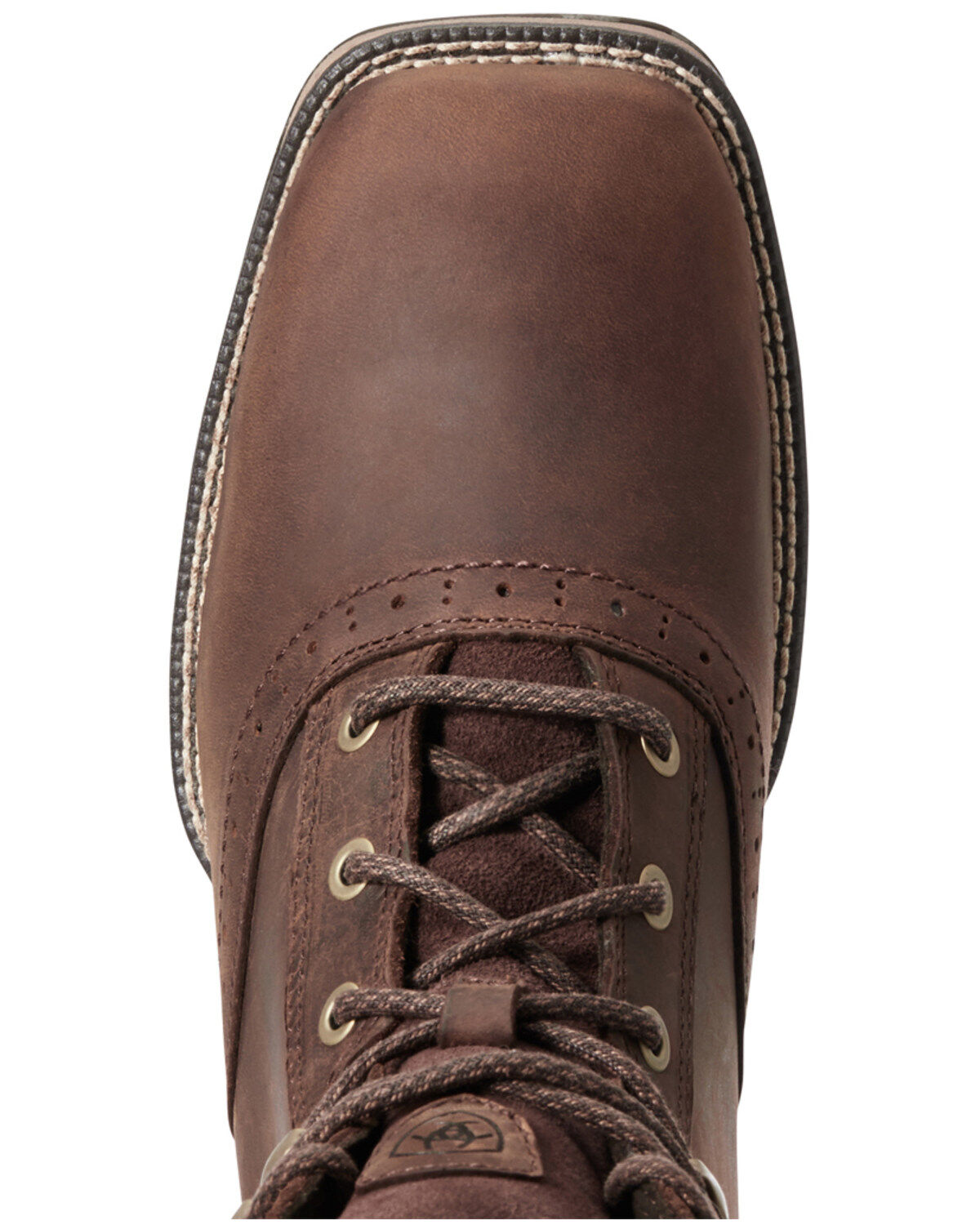 Ariat hybrid lacer online