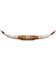 Image #1 - Authentic Large Steer Horns, Tan, hi-res