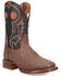 Image #1 - Dan Post Men's Elephant Print Western Boots - Broad Square Toe, Brown, hi-res