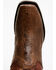 Dan Post Men's Exotic Water Snake Western Boots - Square toe , Chocolate, hi-res