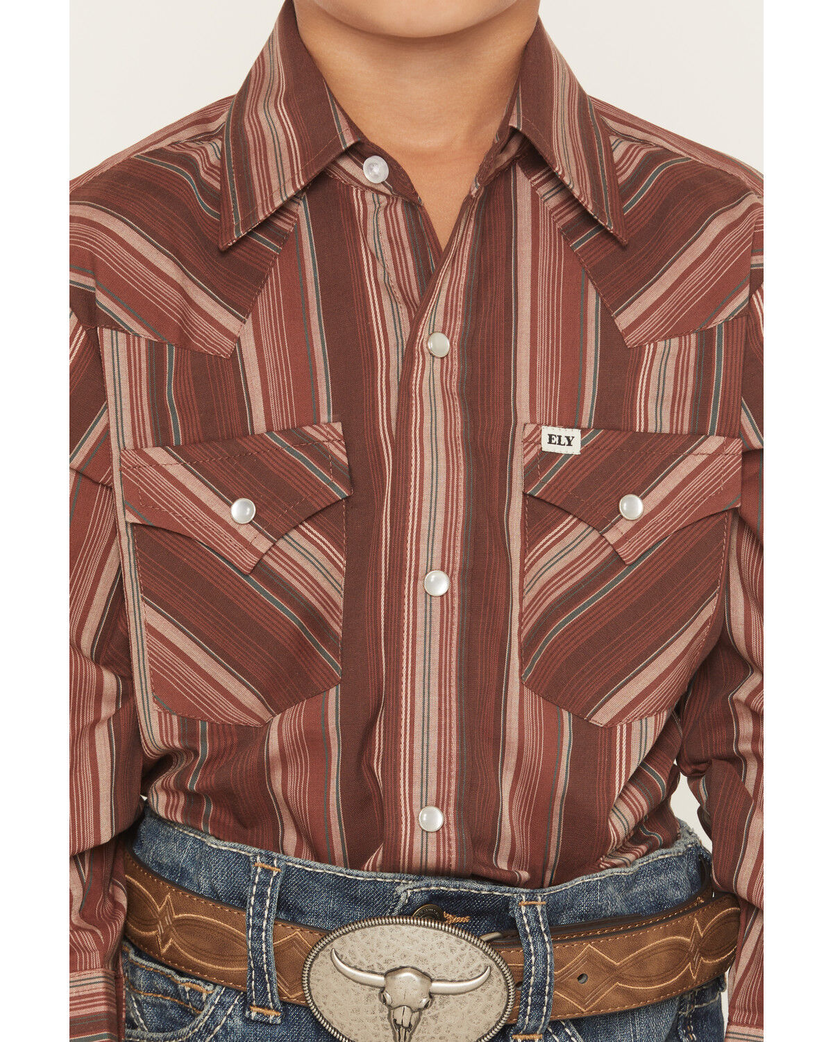 Ely Walker Boys' Striped Long Sleeve Pearl Snap Western Shirt