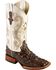 Image #1 - Ferrini Women's Hornback Caiman Print Western Boots - Broad Square Toe, Chocolate, hi-res