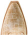 Image #6 - Ariat Women's Jade Crocodile Print Western Booties - Snip Toe, Tan, hi-res