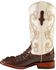 Image #3 - Ferrini Women's Hornback Caiman Print Western Boots - Broad Square Toe, Chocolate, hi-res