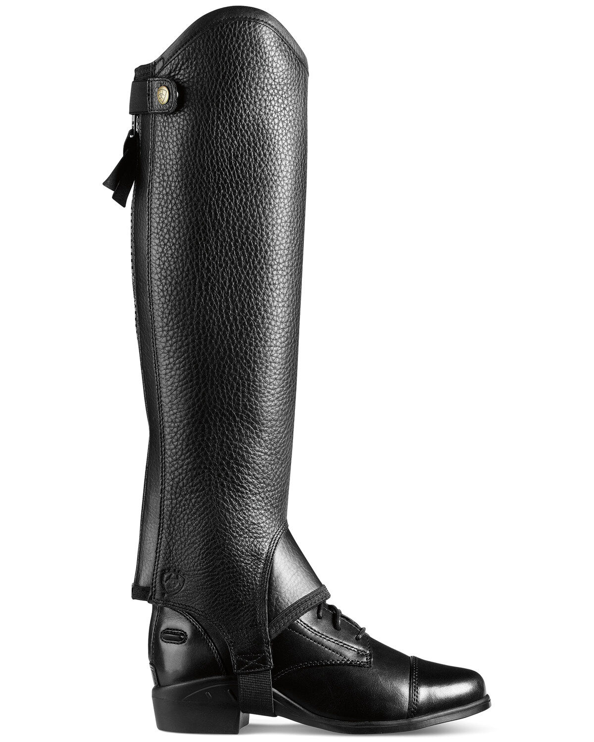 Image #1 - Ariat Concord Chap, , hi-res