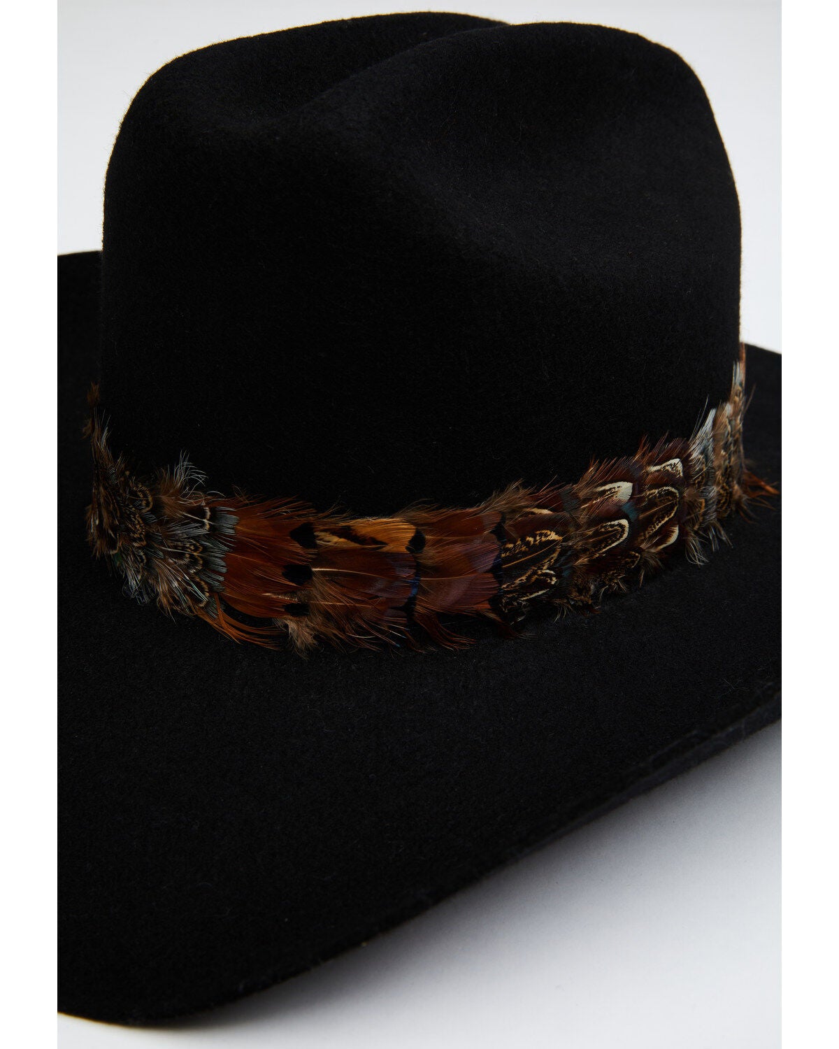 Image #1 - Austin Accent Feather Pheasant Hat Band, Natural, hi-res