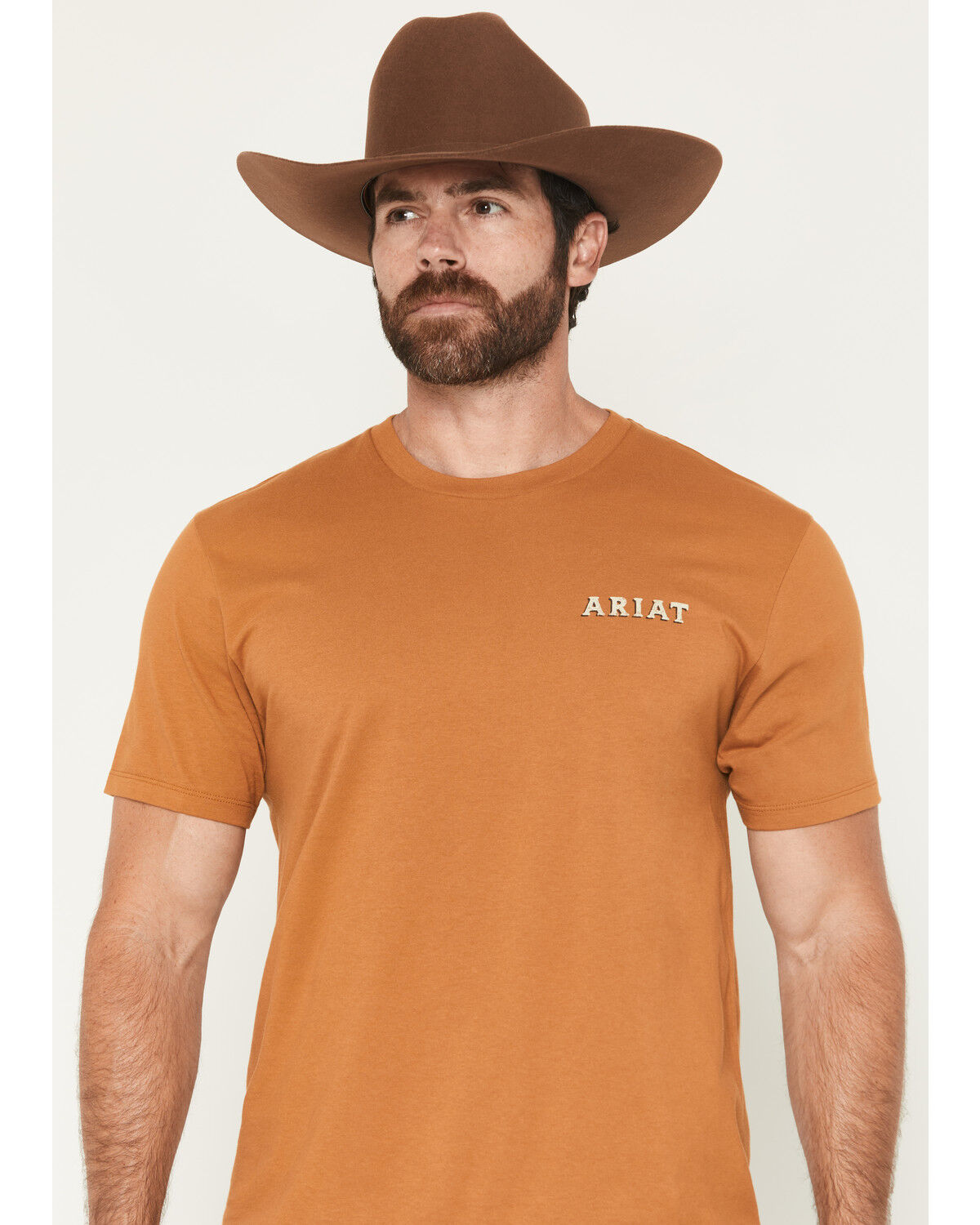 Image #2 - Ariat Men's Scorpion Seal Short Sleeve Graphic T-Shirt, Rust Copper, hi-res