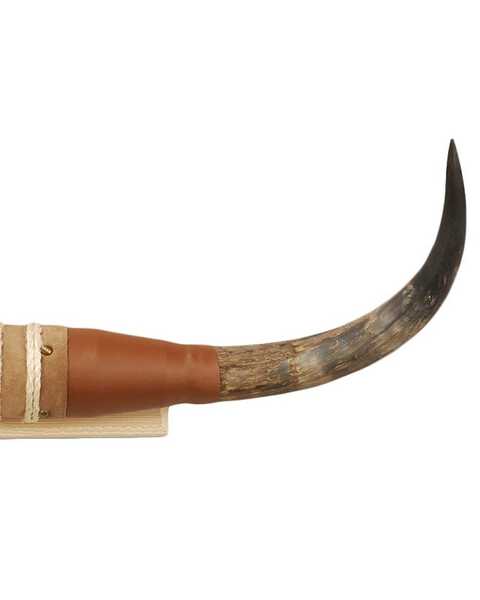 Image #2 - Authentic Small Steer Horns, Tan, hi-res