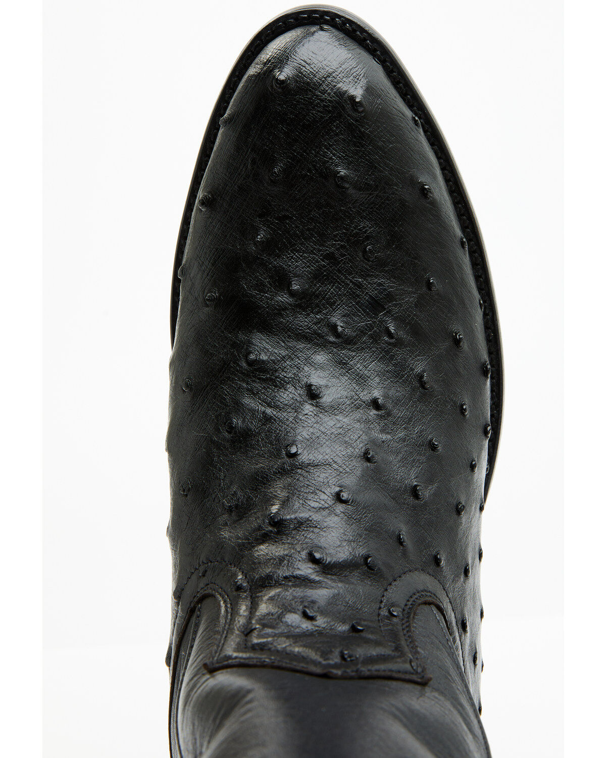 Cody James Black 1978® Men's Chapman Exotic Full-Quill Cody James Black 1978® Men's Chapman Exotic Full-Quill