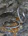 Image #2 - Montana Silversmiths Women's Silver Classic Hoop Earrings , Silver, hi-res