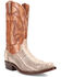 Image #1 - Dan Post Men's Exotic Cobra Western Boots - Snip Toe, Natural, hi-res