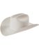 Image #1 - Larry Mahan Platinum Independencia 100X Fur Felt Cowboy Hat, , hi-res