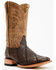 Image #1 - Cody James Men's Exotic Caiman Western Boots - Broad Square Toe, Brown, hi-res
