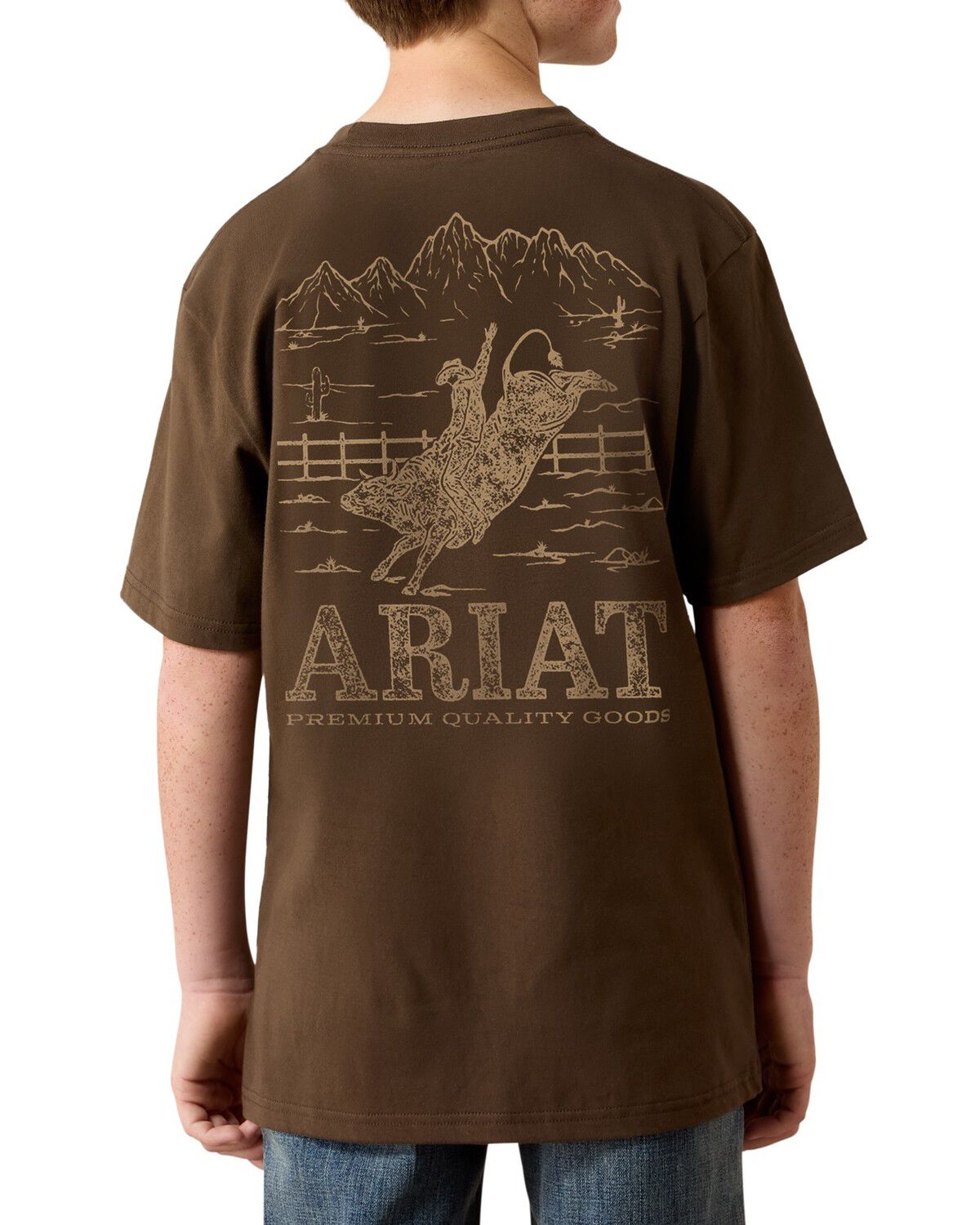 Ariat Boys' Rocky Bull Short Sleeve Graphic T-Shirt, Brown, hi-res