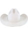 Resistol Men's 20X Tarrant Felt Hat, Silver Belly, hi-res