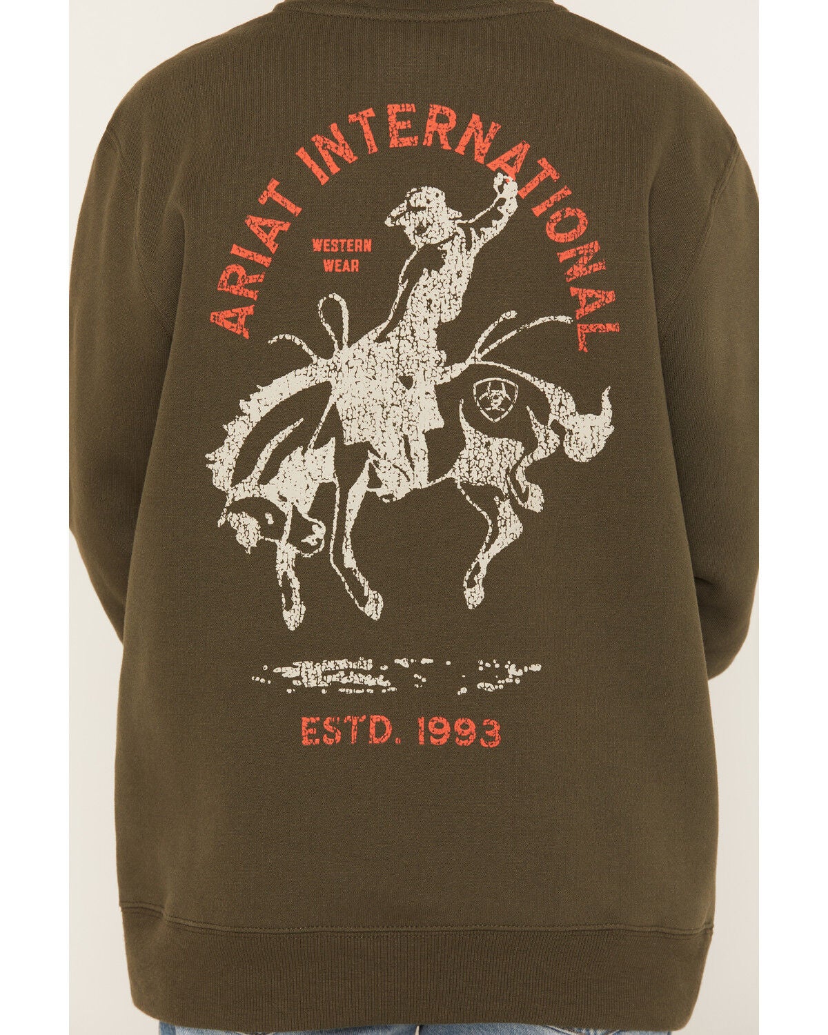 Image #3 - Ariat Boys' Rodeo Logo Graphic Hooded Sweatshirt, Green, hi-res
