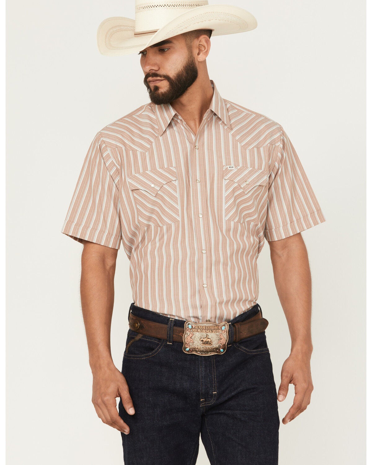 Product Name:  Cody James Men's Roman Striped Short Sleeve Snap Western Shirt
