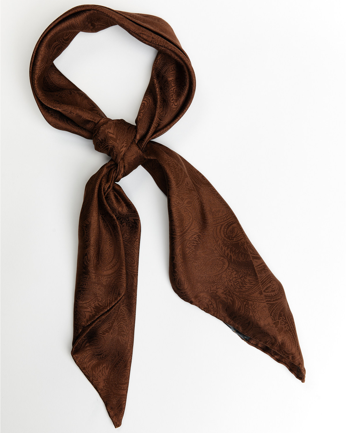 Cody James Men's Silk Brown Wild Rag Scarf