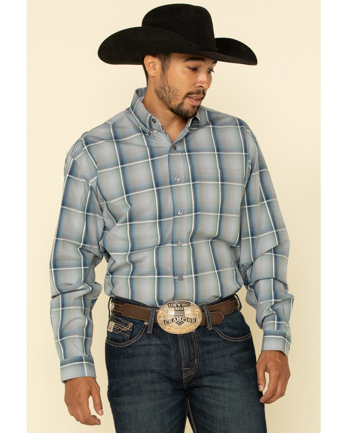 Stetson Men's Sage Ombre Plaid Button 