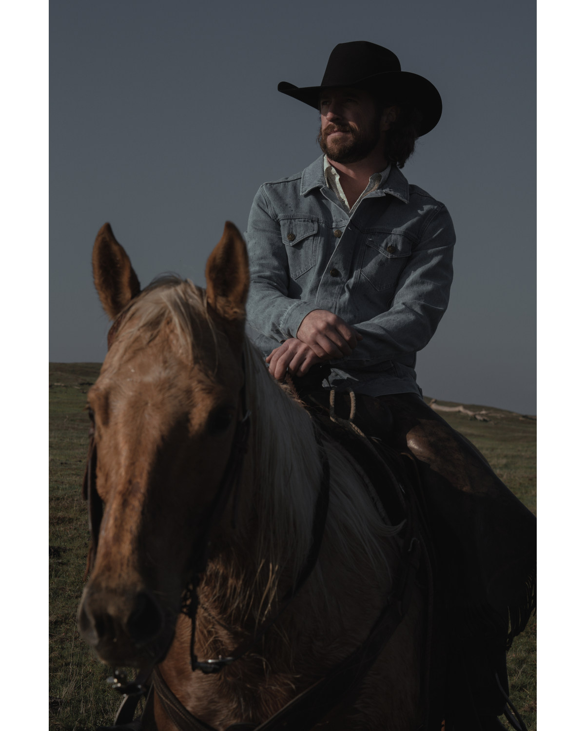 Cody james denim jacket shop