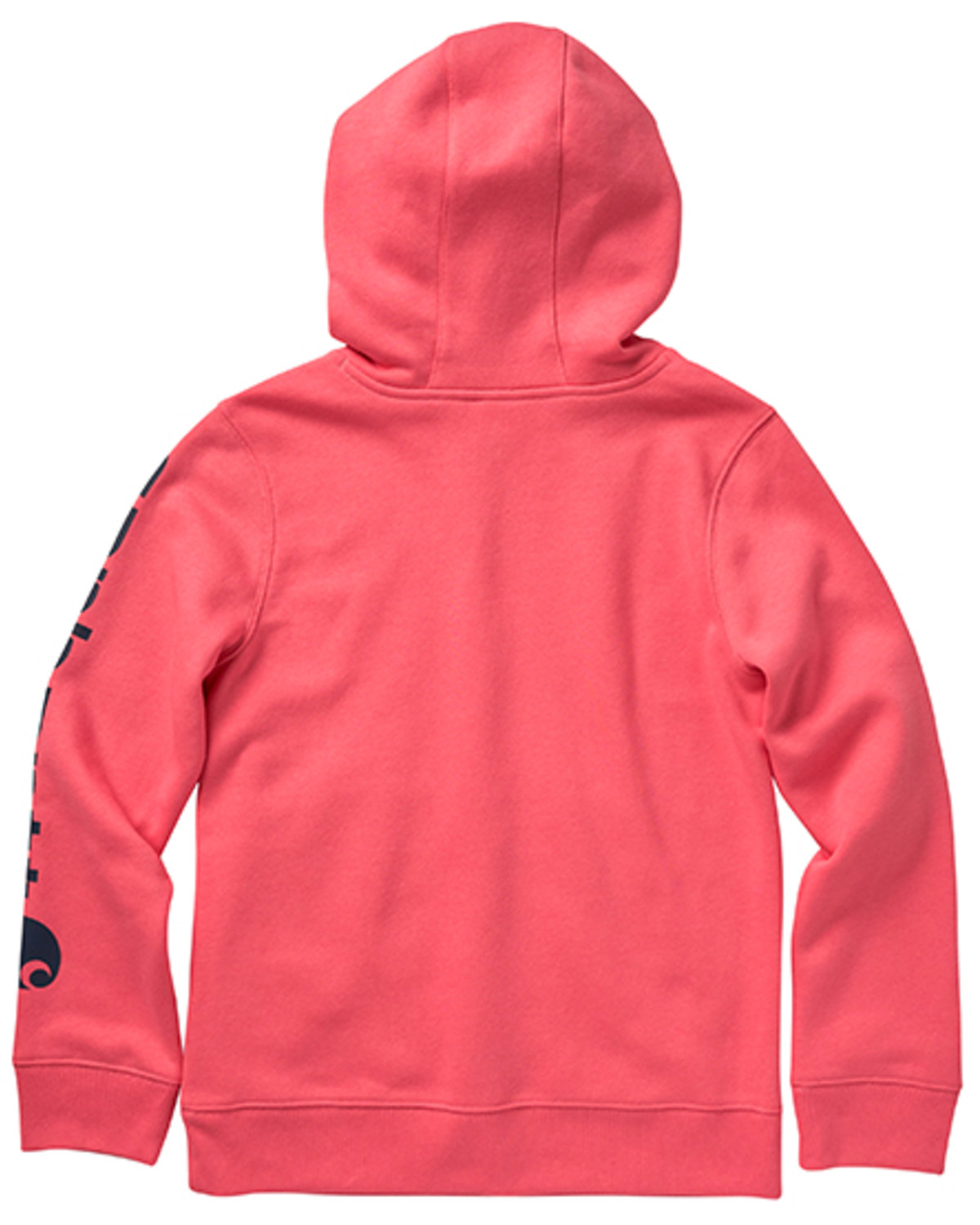 Carhartt Girls' Logo Graphic Long Sleeve Sweatshirt Hoodie - Sizes 4-6 ...