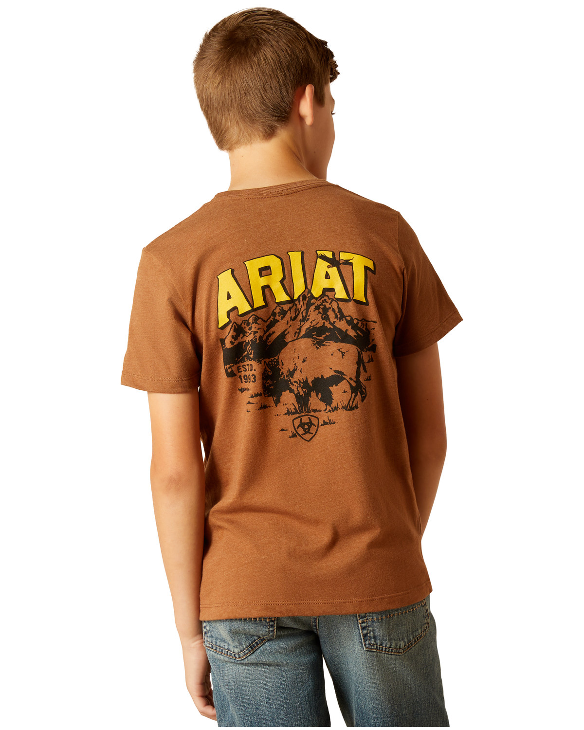 Ariat Boys' Bison Short Sleeve Graphic Print T-Shirt