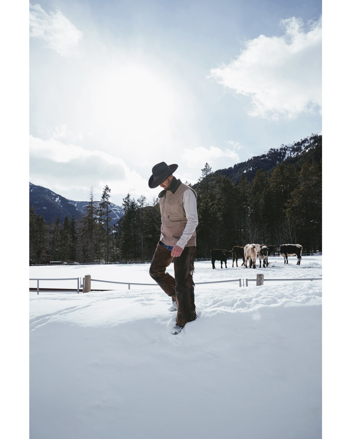 Mens tan vest